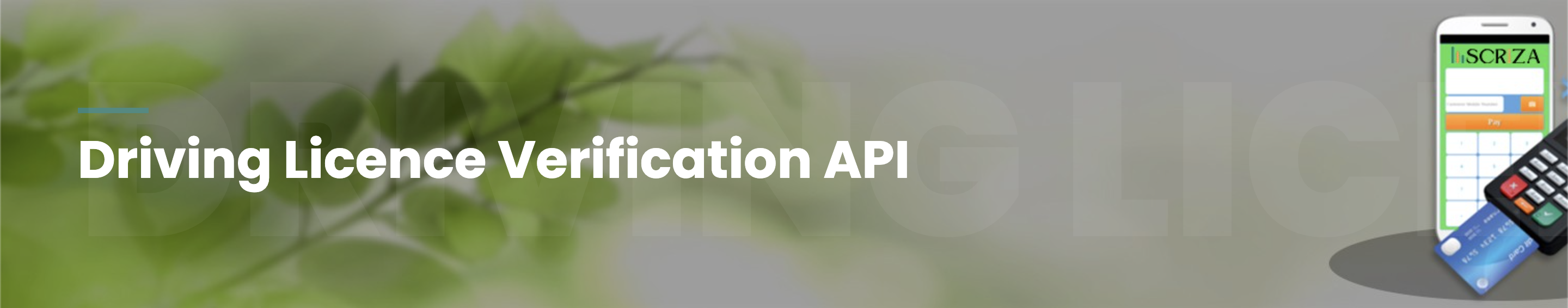 Driving Licence Verification API Solutions