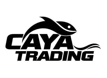 Professional business logo design services in India