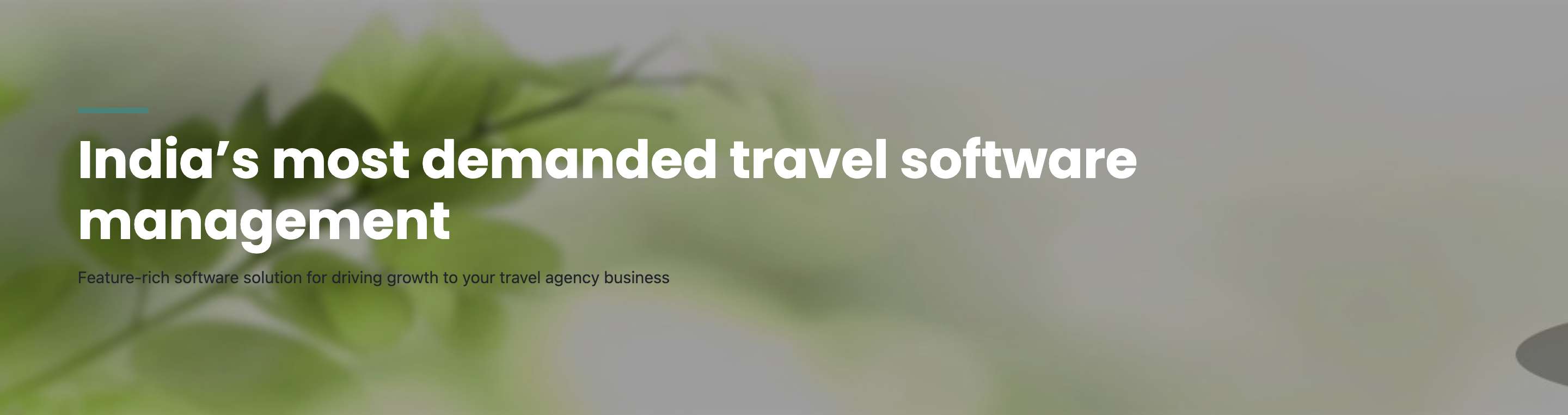 Travel Software